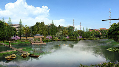 精準把脈美麗圩鎮規劃 助力美麗鄉村建設