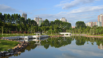 城市生態公園景觀規劃設計流程